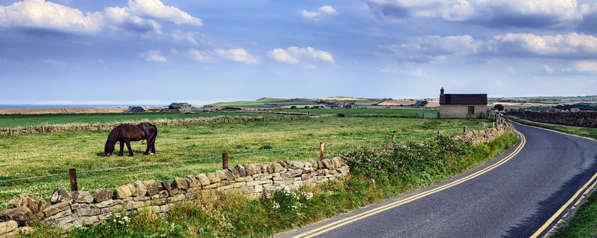 Rural & Equine