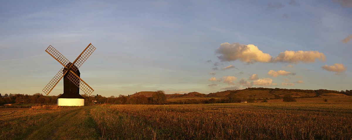 The Fake Farms Scandal